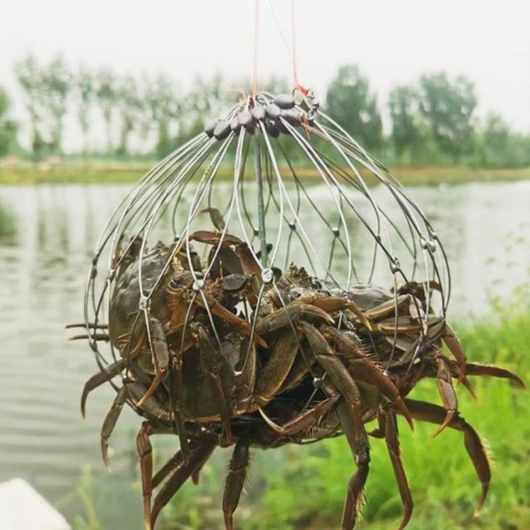 Diameter 52cm/16 Strands Automatically Retractable Crab Cage Wire Crab Opening And Closing Cage by bashfashion